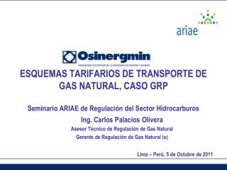 Ing. Carlos Palacios Olivera Asesor Técnico de Regulación de Gas Natural