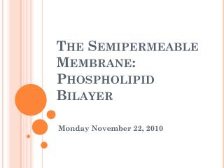 The Semipermeable Membrane: Phospholipid Bilayer