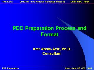 PDD Preparation Process and Format