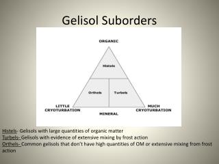 Gelisol Suborders