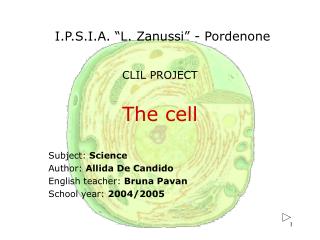 The cell