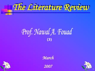 The Literature Review