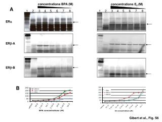 concentrations E 2 (M)