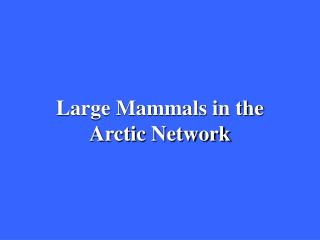 Large Mammals in the Arctic Network