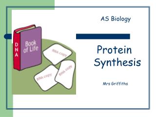 Protein Synthesis