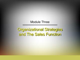 Organizational Strategies and The Sales Function