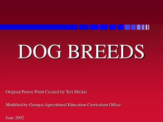 DOG BREEDS