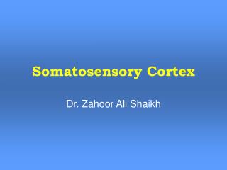 Somatosensory Cortex