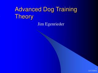 Advanced Dog Training Theory