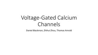 Voltage-Gated Calcium Channels