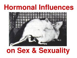 Hormonal Influences