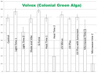 Volvox (Colonial Green Alga)
