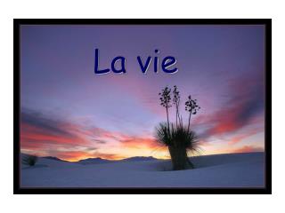 La vie