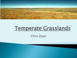 Temperate Grasslands