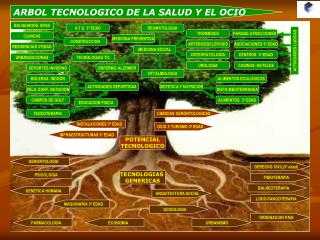 ARBOL TECNOLOGICO DE LA SALUD Y EL OCIO