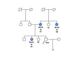 BrCA at 44
