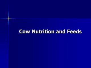 Cow Nutrition and Feeds