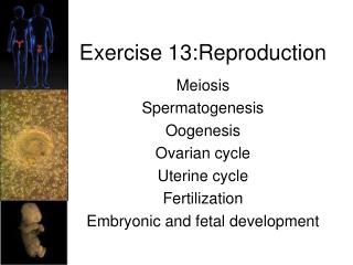 Exercise 13:Reproduction