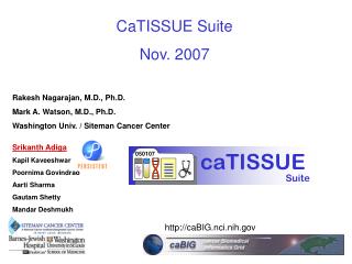 CaTISSUE Suite Nov. 2007