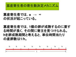 寡産寄生者の寄生数決定メカニズム