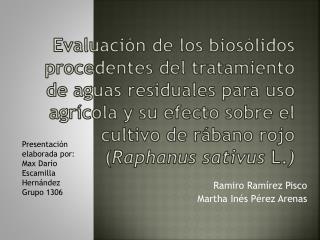 Ramiro Ramírez Pisco Martha Inés Pérez Arenas