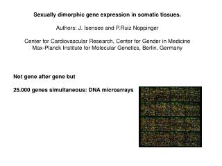Sexually dimorphic gene expression in somatic tissues. Authors: J. Isensee and P.Ruiz Noppinger