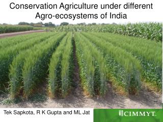 Conservation Agriculture under different Agro-ecosystems of India