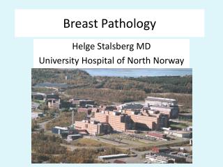 Breast Pathology