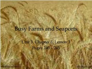 Busy Farms and Seaports
