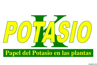 Papel del Potasio en las plantas