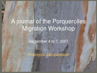 A journal of the Porquerolles Migration Workshop September 4 to 7, 2007