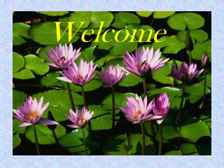 Welcome