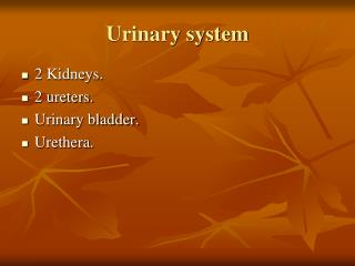 Urinary system