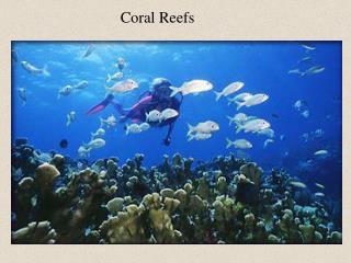 Coral Reefs