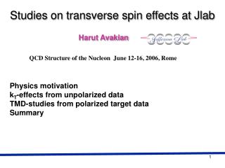 Studies on transverse spin effects at Jlab