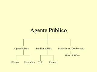 Agente Público