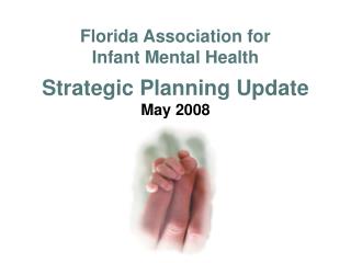 Florida Association for Infant Mental Health Strategic Planning Update May 2008