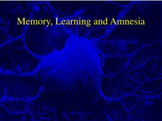Memory, Learning and Amnesia