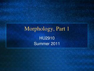 Morphology, Part 1