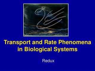 Transport and Rate Phenomena in Biological Systems