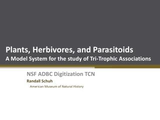 Plants, Herbivores, and Parasitoids A Model System for the study of Tri-Trophic Associations