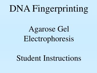 DNA Fingerprinting Agarose Gel Electrophoresis Student Instructions