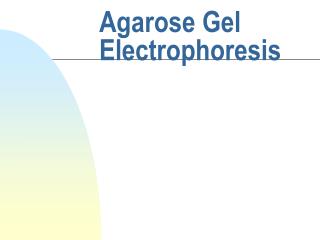 Agarose Gel Electrophoresis