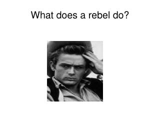 What does a rebel do?