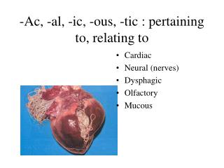 -Ac, -al, -ic, -ous, -tic : pertaining to, relating to