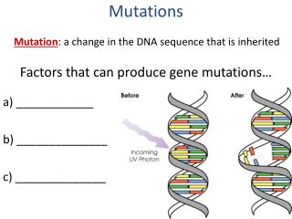 Factors that can produce gene mutations…