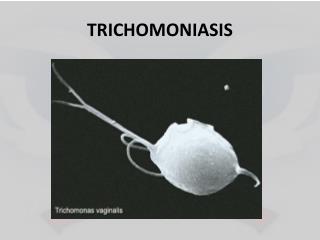 TRICHOMONIASIS