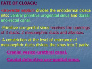 FATE OF CLOACA: