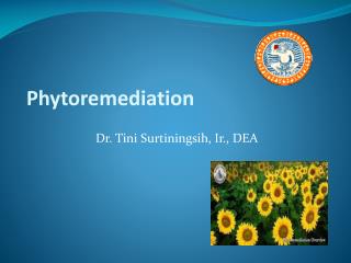 Phytoremediation