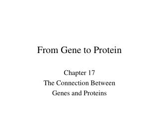 From Gene to Protein